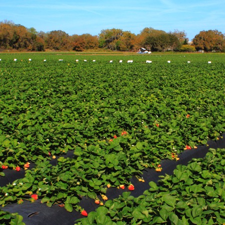 Damcı suvarma aksesuarları