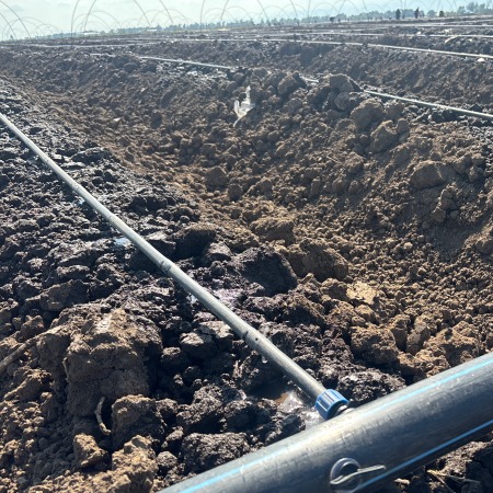 Damcı suvarma sistemləri