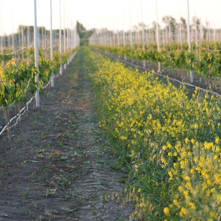 Ирригационные системы