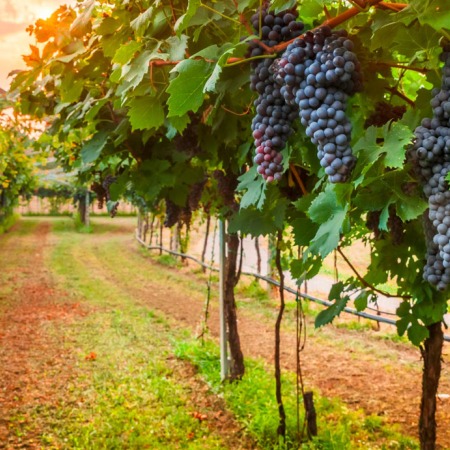 Suvarma sistemləri satışı və quraşdırılması